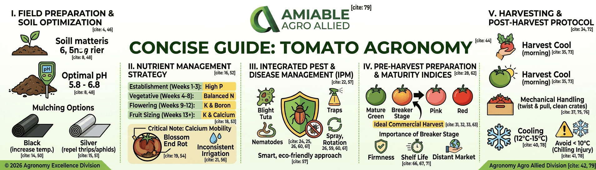 Concise Guide: Tomato Agronomy